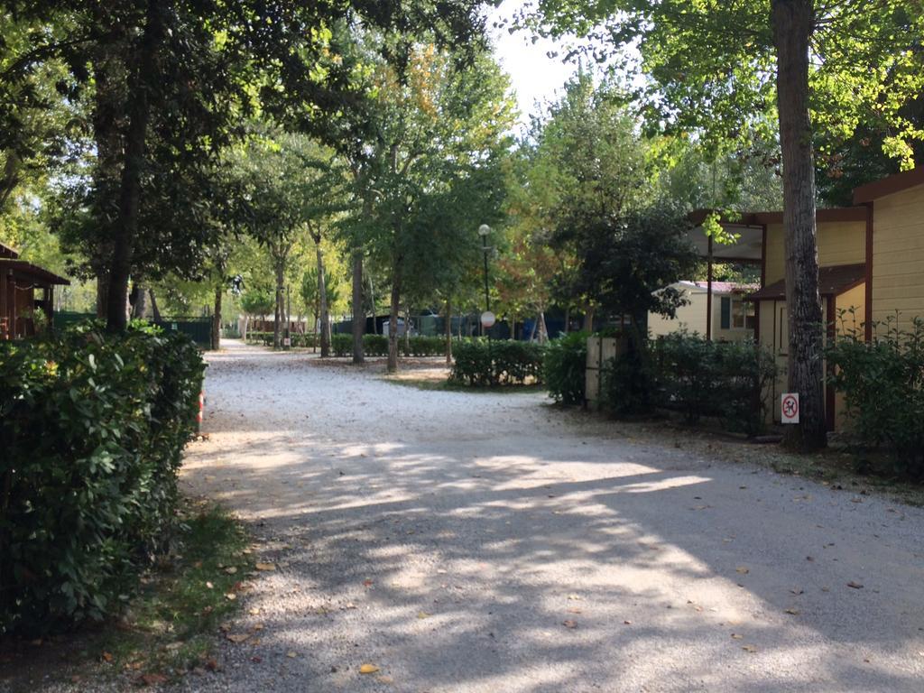 Campeggio Boscoverde Torre del Lago Puccini Eksteriør bilde